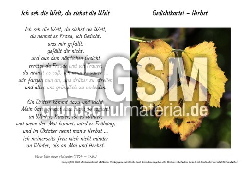 Ich-seh-die-Welt-Flaischlen.pdf